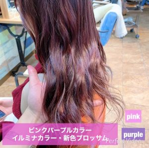 ☆1・2月の星野出勤スケジュール☆