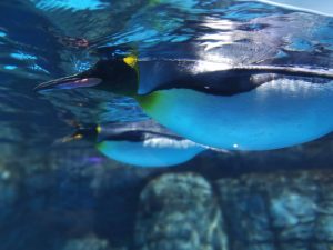 水族館!!