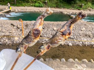 川釣り☆